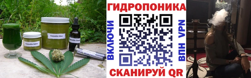 Canna-Cookies конопля  где купить наркоту  hydra ТОР  Дедовск 