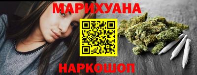 гашик Будённовск
