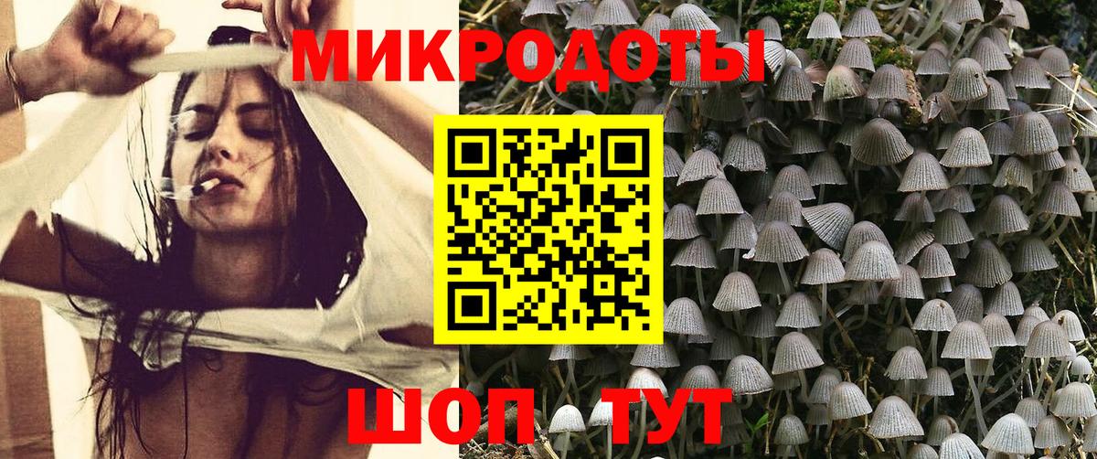 Галлюциногенные грибы прущие грибы Дедовск
