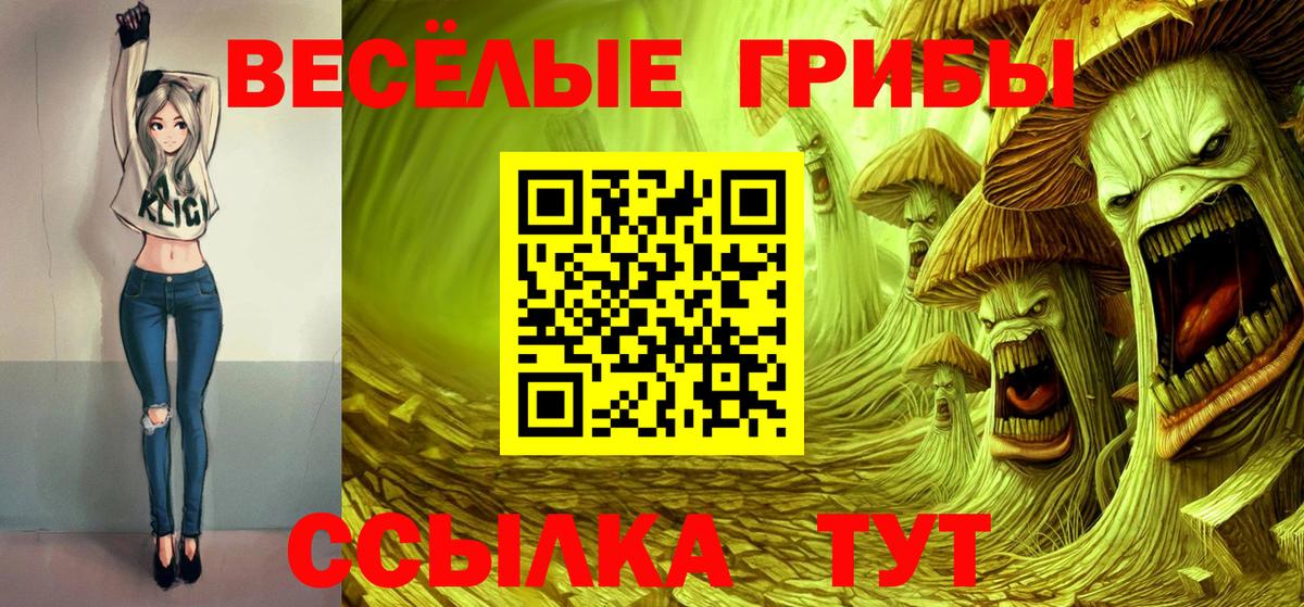 Галлюциногенные грибы GOLDEN TEACHER  Галлюциногенные грибы Psilocybine cubensis  Дедовск 