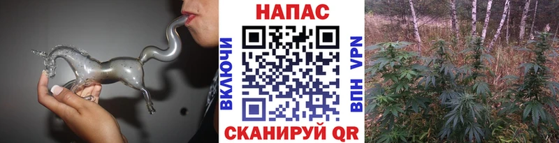 МАРИХУАНА планчик Дедовск